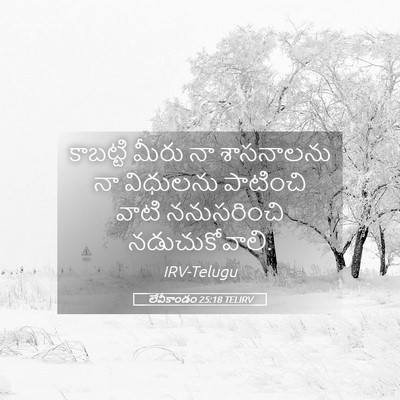 Picture 05 - లేవీకాండం 25:18 TELIRV - కాబట్టి మీరు నా - Bible Verse Picture