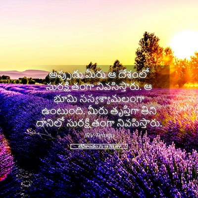 Picture 05 - లేవీకాండం 25:19 TELIRV - అప్పుడు మీరు ఆ - Bible Verse Picture
