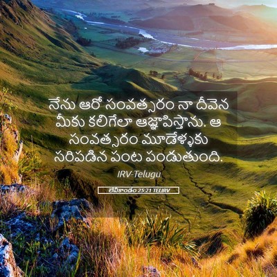 Picture 05 - లేవీకాండం 25:21 TELIRV - నేను ఆరో సంవత్సరం - Bible Verse Picture