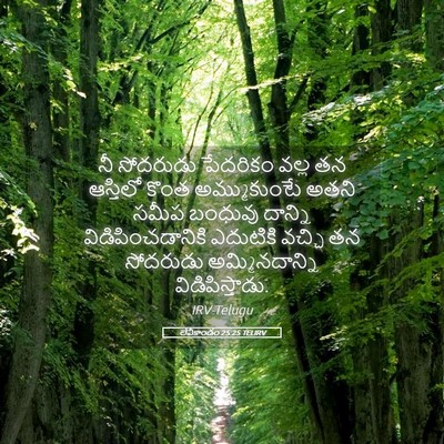Picture 05 - లేవీకాండం 25:25 TELIRV - నీ సోదరుడు - Bible Verse Picture
