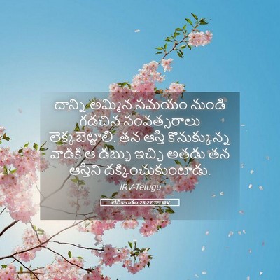 Picture 05 - లేవీకాండం 25:27 TELIRV - దాన్ని అమ్మిన - Bible Verse Picture