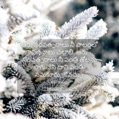 Picture 05 - లేవీకాండం 25:3 TELIRV - ఆరు సంవత్సరాలు నీ - Bible Verse Picture