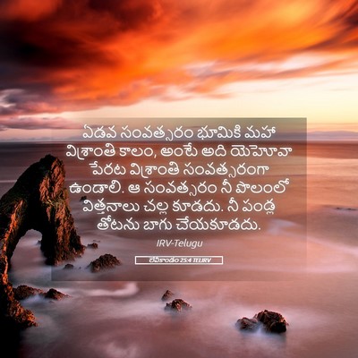 Picture 05 - లేవీకాండం 25:4 TELIRV - ఏడవ సంవత్సరం - Bible Verse Picture