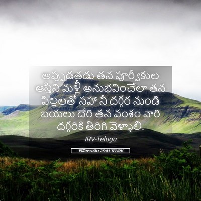 Picture 05 - లేవీకాండం 25:41 TELIRV - అప్పుడతడు తన - Bible Verse Picture