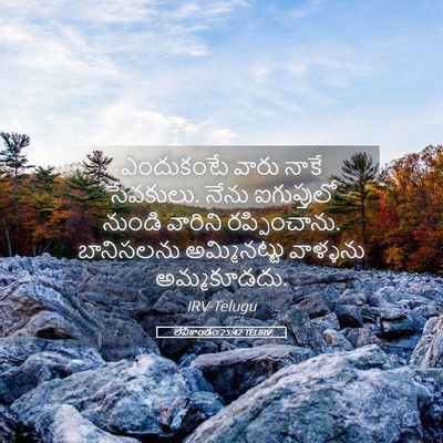 Picture 05 - లేవీకాండం 25:42 TELIRV - ఎందుకంటే వారు - Bible Verse Picture