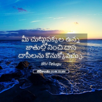 Picture 05 - లేవీకాండం 25:44 TELIRV - మీ చుట్టుపక్కల - Bible Verse Picture