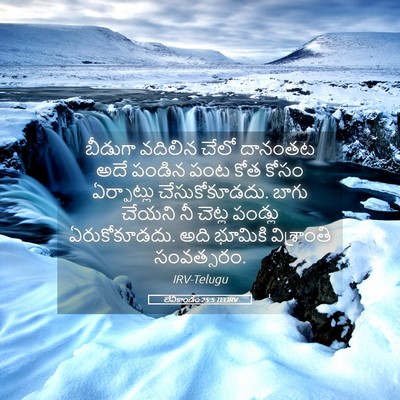 Picture 05 - లేవీకాండం 25:5 TELIRV - బీడుగా వదిలిన - Bible Verse Picture