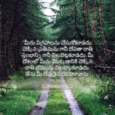 Picture 05 - లేవీకాండం 26:1 TELIRV - “మీరు విగ్రహాలను - Bible Verse Picture