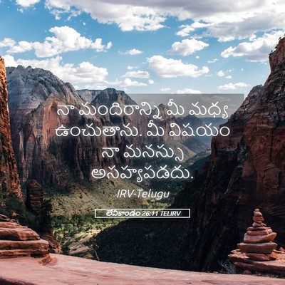 Picture 05 - లేవీకాండం 26:11 TELIRV - నా మందిరాన్ని మీ - Bible Verse Picture