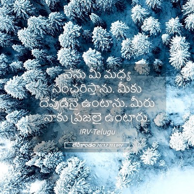 Picture 05 - లేవీకాండం 26:12 TELIRV - నేను మీ మధ్య - Bible Verse Picture