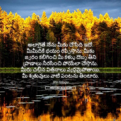 Picture 05 - లేవీకాండం 26:16 TELIRV - అలాగైతే నేను మీకు - Bible Verse Picture