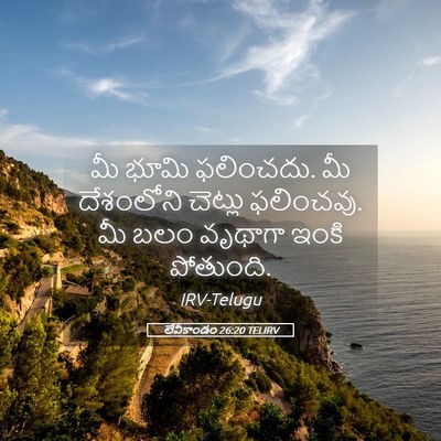 Picture 05 - లేవీకాండం 26:20 TELIRV - మీ భూమి ఫలించదు. మీ - Bible Verse Picture