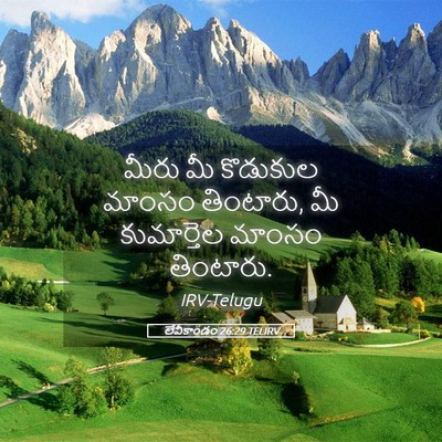 Picture 05 - లేవీకాండం 26:29 TELIRV - మీరు మీ కొడుకుల - Bible Verse Picture
