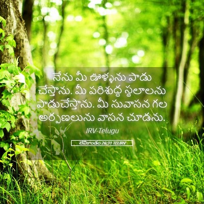 Picture 05 - లేవీకాండం 26:31 TELIRV - నేను మీ ఊళ్ళను - Bible Verse Picture