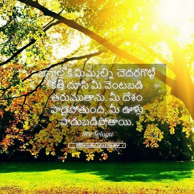 Picture 05 - లేవీకాండం 26:33 TELIRV - జనాల్లోకి - Bible Verse Picture