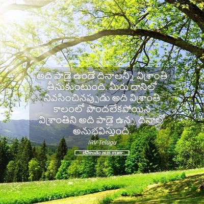 Picture 05 - లేవీకాండం 26:35 TELIRV - అది పాడై ఉండే - Bible Verse Picture