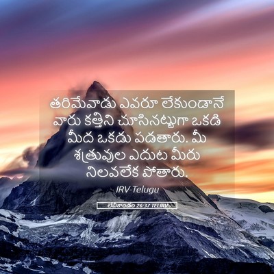 Picture 05 - లేవీకాండం 26:37 TELIRV - తరిమేవాడు ఎవరూ - Bible Verse Picture