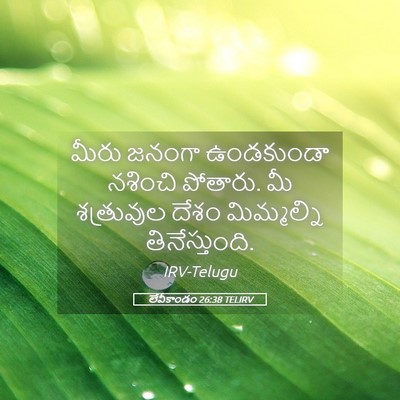 Picture 05 - లేవీకాండం 26:38 TELIRV - మీరు జనంగా - Bible Verse Picture