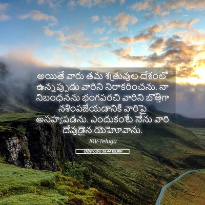 Picture 05 - లేవీకాండం 26:44 TELIRV - అయితే వారు తమ - Bible Verse Picture