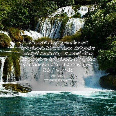 Picture 05 - లేవీకాండం 26:45 TELIRV - నేను వారికి - Bible Verse Picture