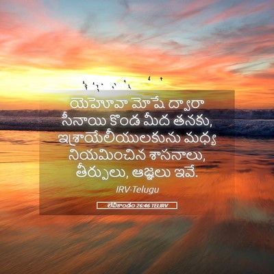 Picture 05 - లేవీకాండం 26:46 TELIRV - యెహోవా మోషే - Bible Verse Picture