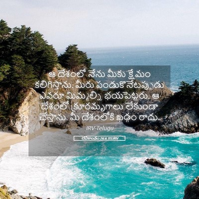 Picture 05 - లేవీకాండం 26:6 TELIRV - ఆ దేశంలో నేను మీకు - Bible Verse Picture