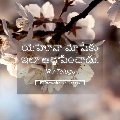 Picture 05 - లేవీకాండం 27:1 TELIRV - యెహోవా మోషేకు ఇలా - Bible Verse Picture
