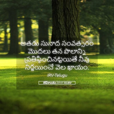 Picture 05 - లేవీకాండం 27:17 TELIRV - అతడు సునాద - Bible Verse Picture