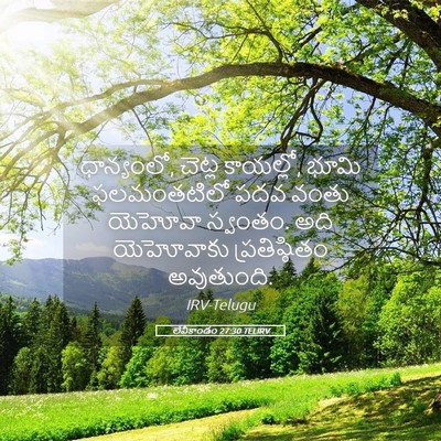 Picture 05 - లేవీకాండం 27:30 TELIRV - ధాన్యంలో, చెట్ల - Bible Verse Picture
