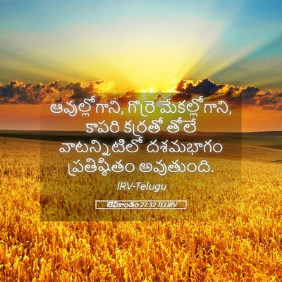 Picture 05 - లేవీకాండం 27:32 TELIRV - ఆవుల్లోగాని, - Bible Verse Picture