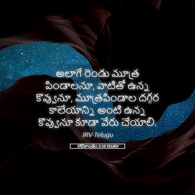 Picture 05 - లేవీకాండం 3:10 TELIRV - అలాగే రెండు మూత్ర - Bible Verse Picture
