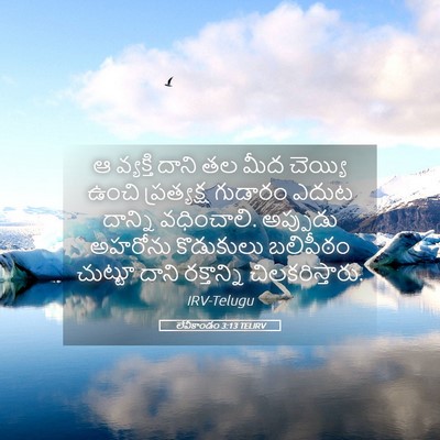 Picture 05 - లేవీకాండం 3:13 TELIRV - ఆ వ్యక్తి దాని తల - Bible Verse Picture