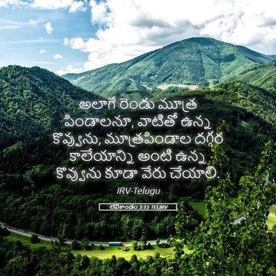 Picture 05 - లేవీకాండం 3:15 TELIRV - అలాగే రెండు మూత్ర - Bible Verse Picture