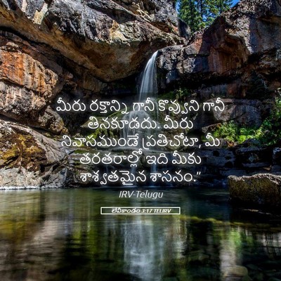 Picture 05 - లేవీకాండం 3:17 TELIRV - మీరు రక్తాన్ని - Bible Verse Picture