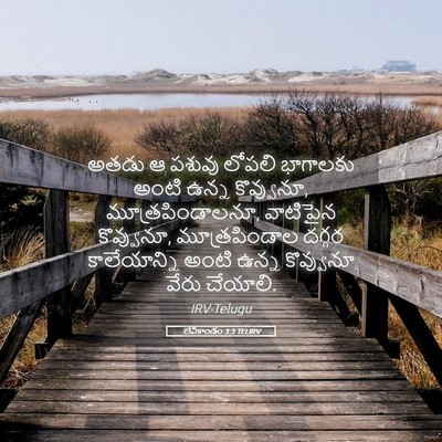 Picture 05 - లేవీకాండం 3:3 TELIRV - అతడు ఆ పశువు లోపలి - Bible Verse Picture