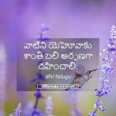 Picture 05 - లేవీకాండం 3:4 TELIRV - వాటిని యెహోవాకు - Bible Verse Picture