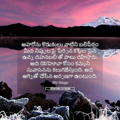 Picture 05 - లేవీకాండం 3:5 TELIRV - అహరోను కొడుకులు - Bible Verse Picture