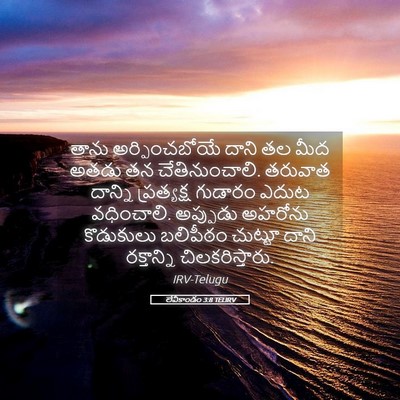 Picture 05 - లేవీకాండం 3:8 TELIRV - తాను అర్పించబోయే - Bible Verse Picture