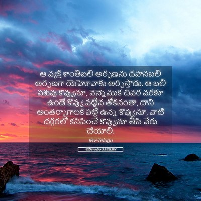 Picture 05 - లేవీకాండం 3:9 TELIRV - ఆ వ్యక్తి - Bible Verse Picture