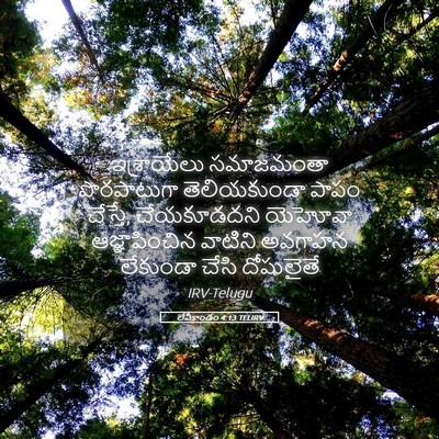 Picture 05 - లేవీకాండం 4:13 TELIRV - ఇశ్రాయేలు - Bible Verse Picture