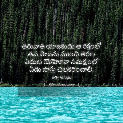 Picture 05 - లేవీకాండం 4:17 TELIRV - తరువాత యాజకుడు ఆ - Bible Verse Picture