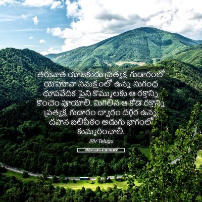 Picture 05 - లేవీకాండం 4:18 TELIRV - తరువాత యాజకుడు - Bible Verse Picture