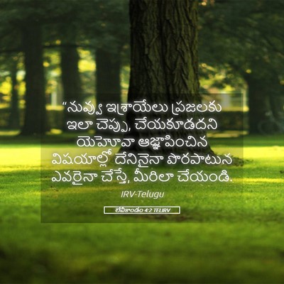 Picture 05 - లేవీకాండం 4:2 TELIRV - “నువ్వు ఇశ్రాయేలు - Bible Verse Picture
