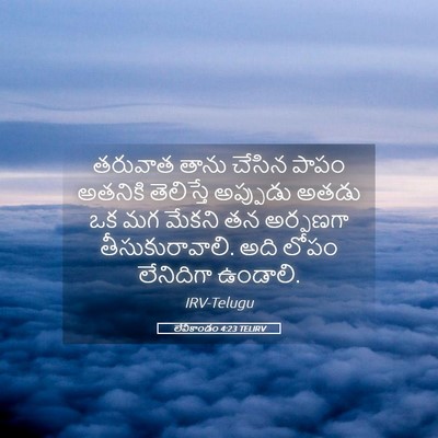 Picture 05 - లేవీకాండం 4:23 TELIRV - తరువాత తాను చేసిన - Bible Verse Picture