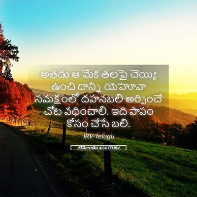 Picture 05 - లేవీకాండం 4:24 TELIRV - అతడు ఆ మేక తలపై - Bible Verse Picture