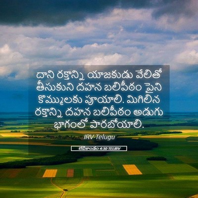 Picture 05 - లేవీకాండం 4:30 TELIRV - దాని రక్తాన్ని - Bible Verse Picture