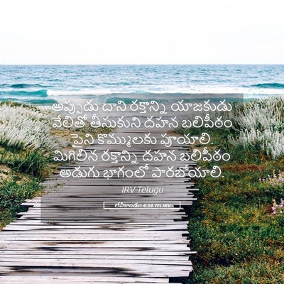 Picture 05 - లేవీకాండం 4:34 TELIRV - అప్పుడు దాని - Bible Verse Picture