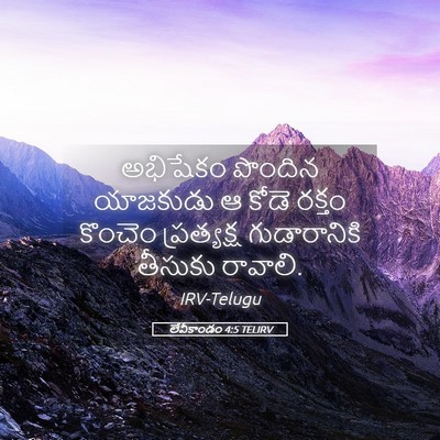 Picture 05 - లేవీకాండం 4:5 TELIRV - అభిషేకం పొందిన - Bible Verse Picture