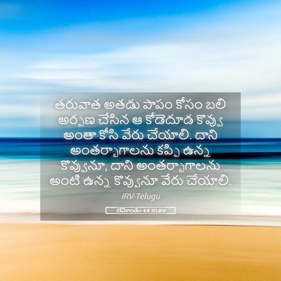 Picture 05 - లేవీకాండం 4:8 TELIRV - తరువాత అతడు పాపం - Bible Verse Picture