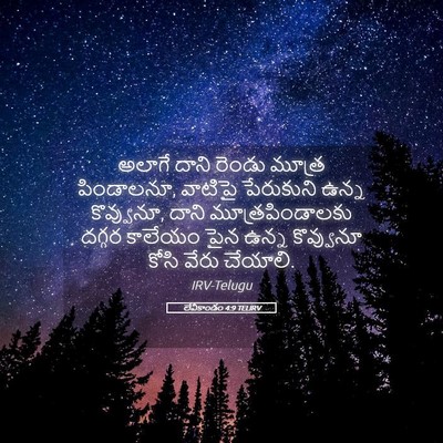 Picture 05 - లేవీకాండం 4:9 TELIRV - అలాగే దాని రెండు - Bible Verse Picture
